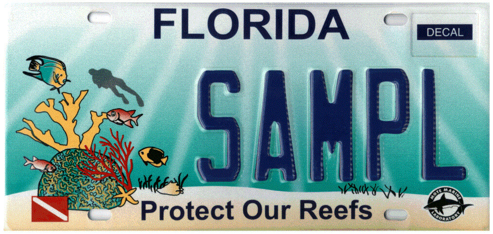 Protect our Reefs Florida Specialty License Plate
