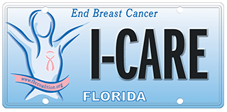 End Breast Cancer Florida Specialty License Plate