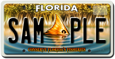 Conserve Florida Fisheries Specialty License Plate