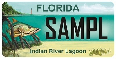 Indian River Lagoon Florida Specialty License Plate