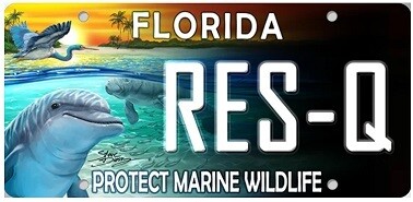 Protect Marine Wildlife Florida Specialty License Plate