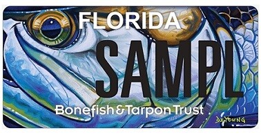 Bonefish and Tarpon Trust Florida Specialty License Plate