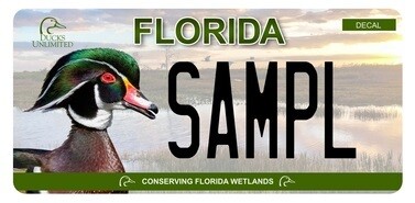Ducks Unlimited Florida Specialty License Plate