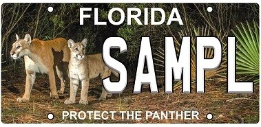 Protect The Panther Florida Specialty License Plate