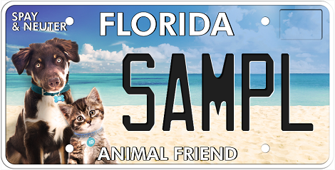 Animal Friend Florida Specialty License Plate