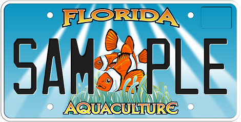 Aquaculture Florida Specialty License Plate