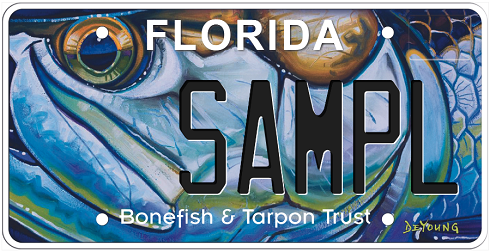 Bonefish and Tarpon Trust Florida Specialty License Plate