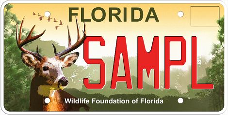 Wildlife Foundation Of Florida Specialty License Plate