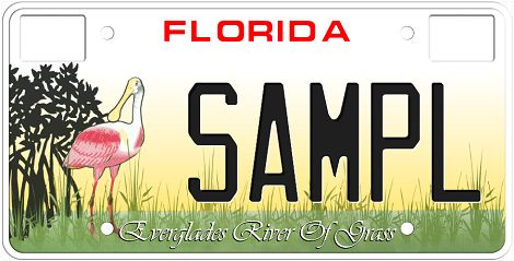 Everglades River of Grass Florida Specialty License Plate