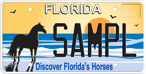 Discover Florida Horses Specialty License Plate Discover Florida Horses Specialty License Plate