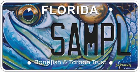 Bonefish and Tarpon Trust Florida Specialty License Plate Bonefish and Tarpon Trust Florida Specialty License Plate