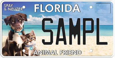 Animal Friend Florida Specialty License Plate