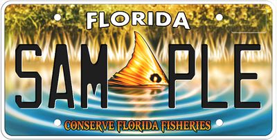 Conserve Florida Fisheries Specialty License Plate Conserve Florida Fisheries Specialty License Plate