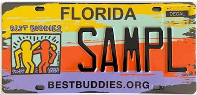 Best Buddies Tom Brady Florida Specialty License Plate Best Buddies Tom Brady Florida Specialty License Plate