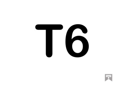 T6
