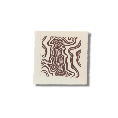 LMBSP Print, White/Brown