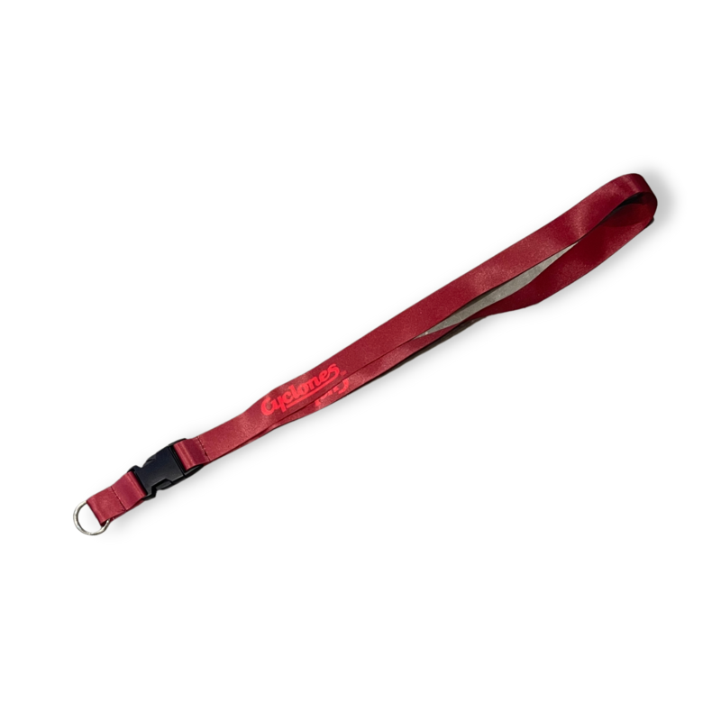 Vintage Cyclones Lanyard