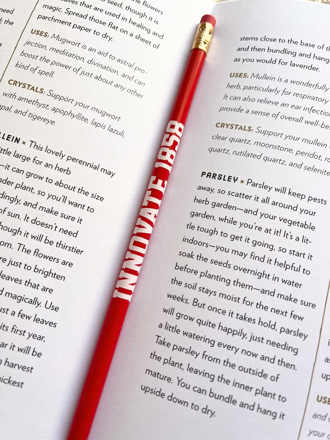 Innovate 1858 Bulk Pencil Innovate 1858 Bulk Pencil