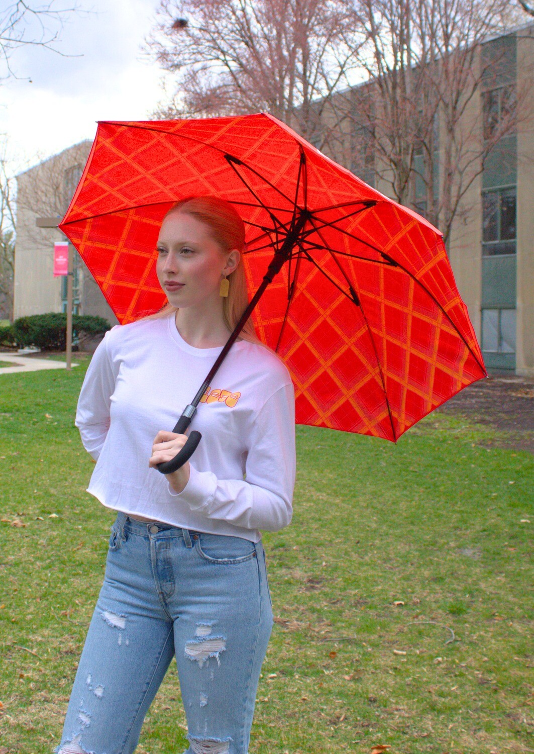 Tartan Umbrella Tartan Umbrella