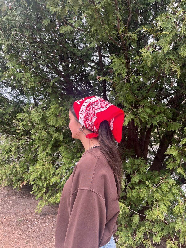 Iowa State Bandana Iowa State Bandana