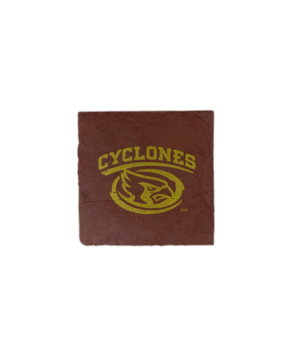 Cyclone Cardinal Slate Coaster