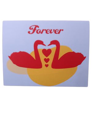 Greeting Card, Swans Forever