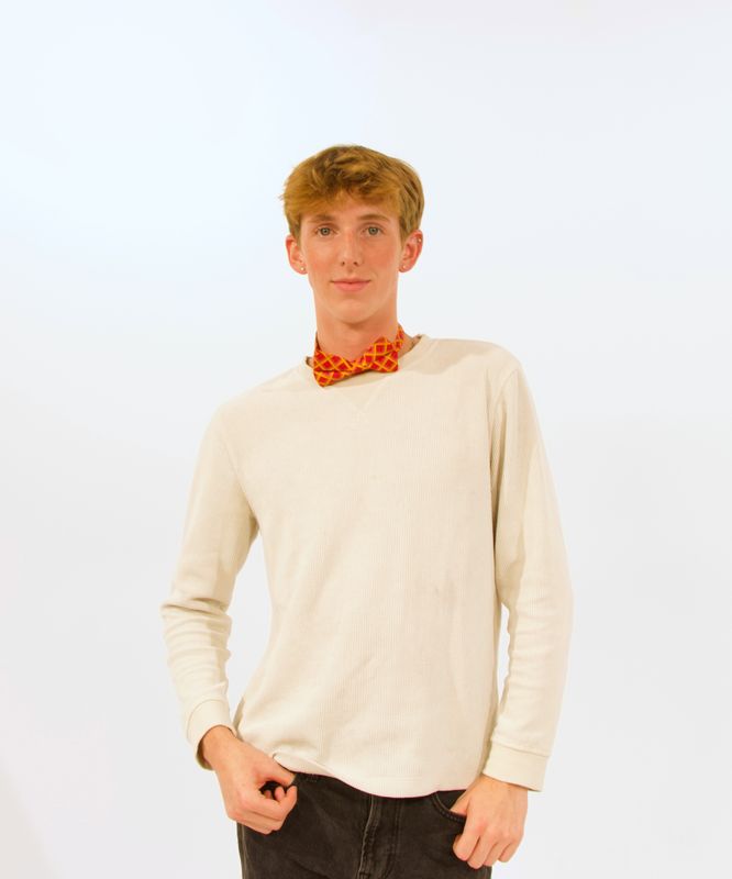 Tartan Silk Bow Tie Tartan Silk Bow Tie
