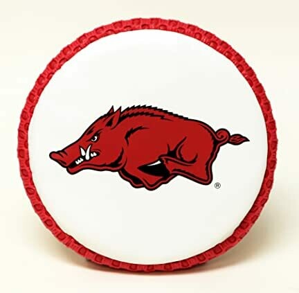 Fun Gripper® College 9" Flyer - Flying Disc -Frisbee - Reversible 140g or 5 oz -Soft Catches-Great for Kids - Team Player,Tail gate,Indoor or Outdoor by: Saturnian I