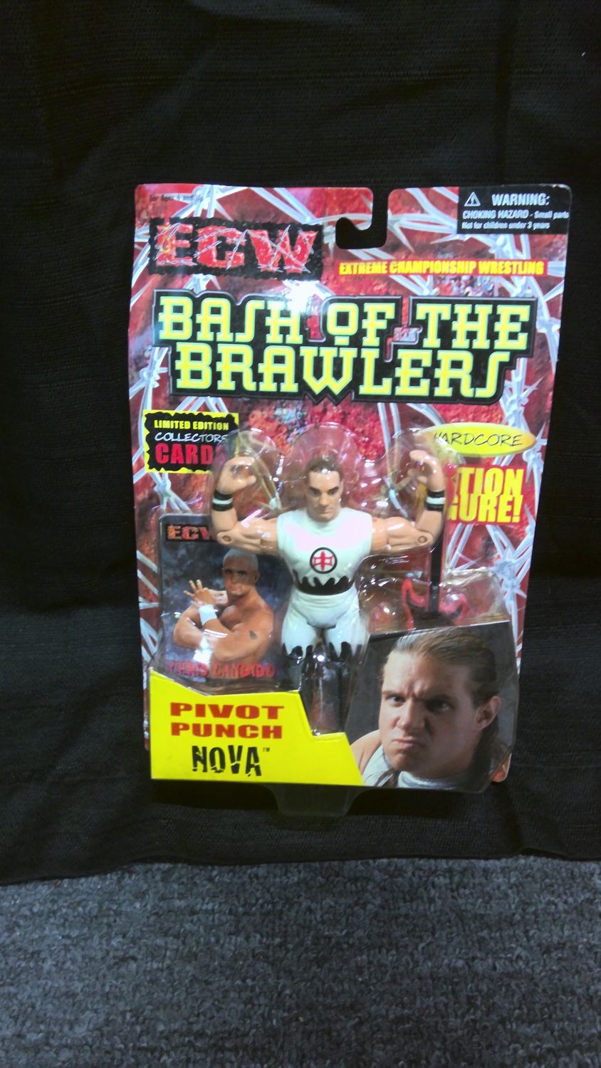 ECW Bash of the Brawlers Nova ECW Bash of the Brawlers Nova