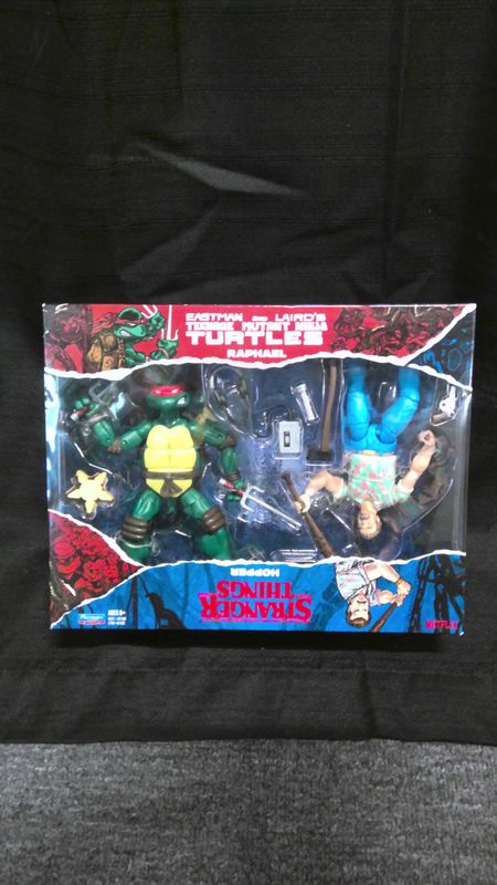 Playmates TMNT Stranger Things Raphael &amp; Hopper