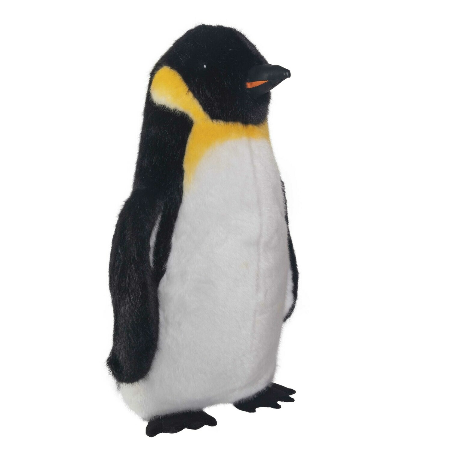 Emperor Penguin