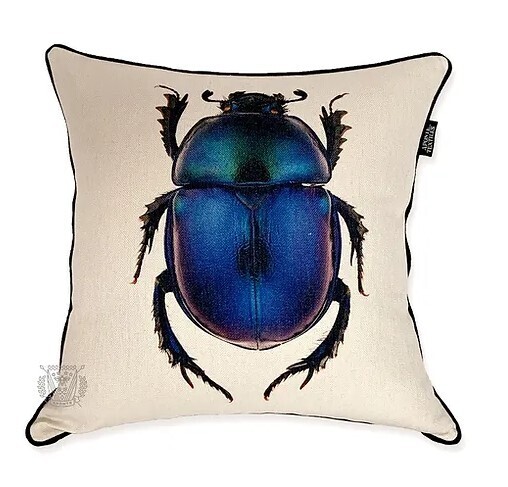 Escarabajo Egipcio Azul