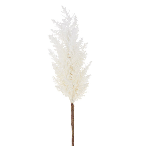 36&quot; PAMPAS GRASS STEM