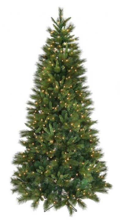 7.5&#39;  LED EP DLX BELGIUM TR