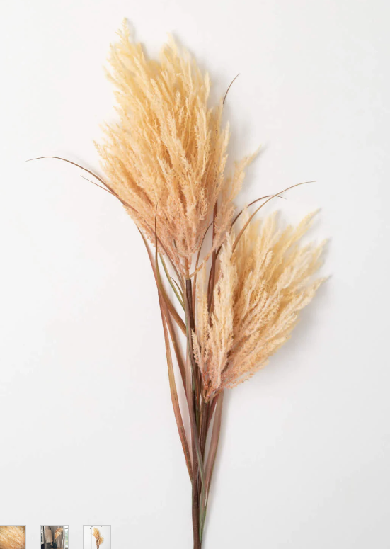 FAUX DRIED REED STEM, COLOR: CHAMPAGNE
