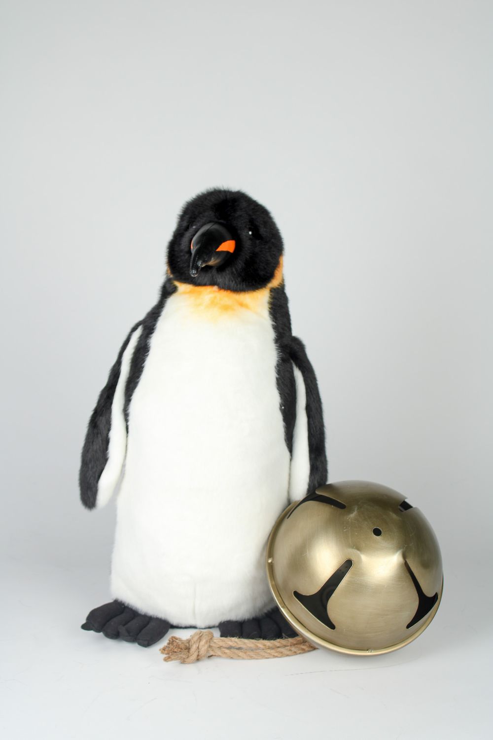 Emperor Penguin