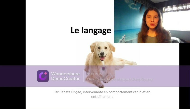 Formation en ligne &#39;&#39;Comprendre mon chien, son langage, ses émotions et ses comportements&#39;&#39;