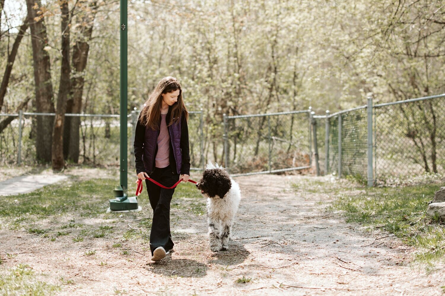 Formation en ligne &#39;&#39;L&#39;Apprentissage chez le chien + La Technique du Clicker + Entraîner et modifier n&#39;importe quel comportement!&#39;&#39;