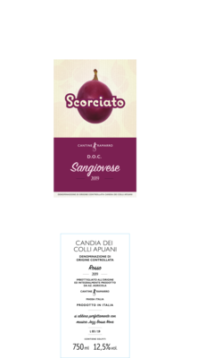 BOX 6 Scorciato 2019 BOX 6 Scorciato 2019