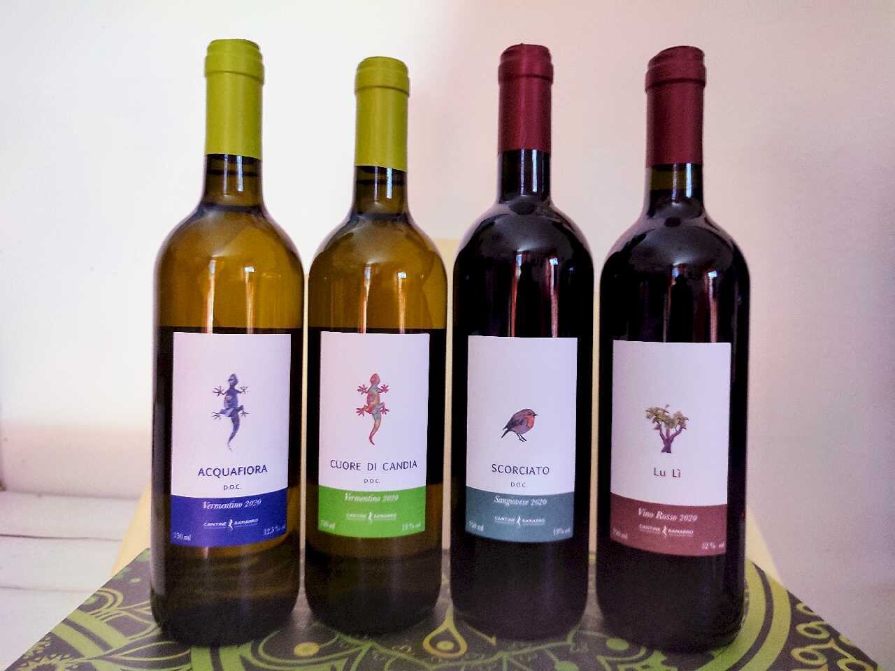 Olio nuovo e vino 2020