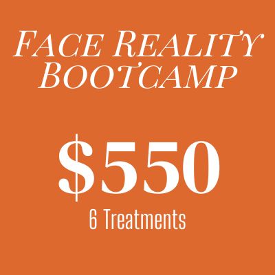 Face Reality Bootcamp