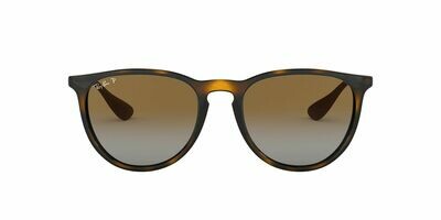 Ray-Ban Erika Classic