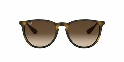 Ray-Ban Erika Classic
