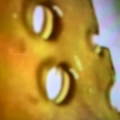 Concentrates 