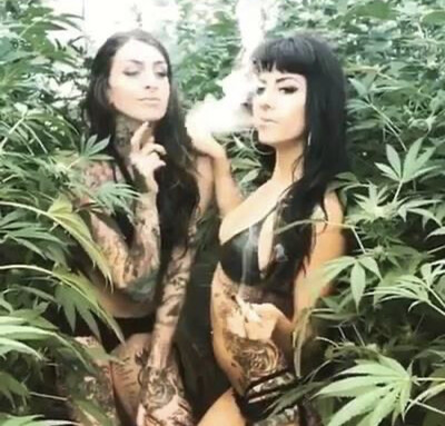 HP Runtz Flower Great Quality Top Shelf