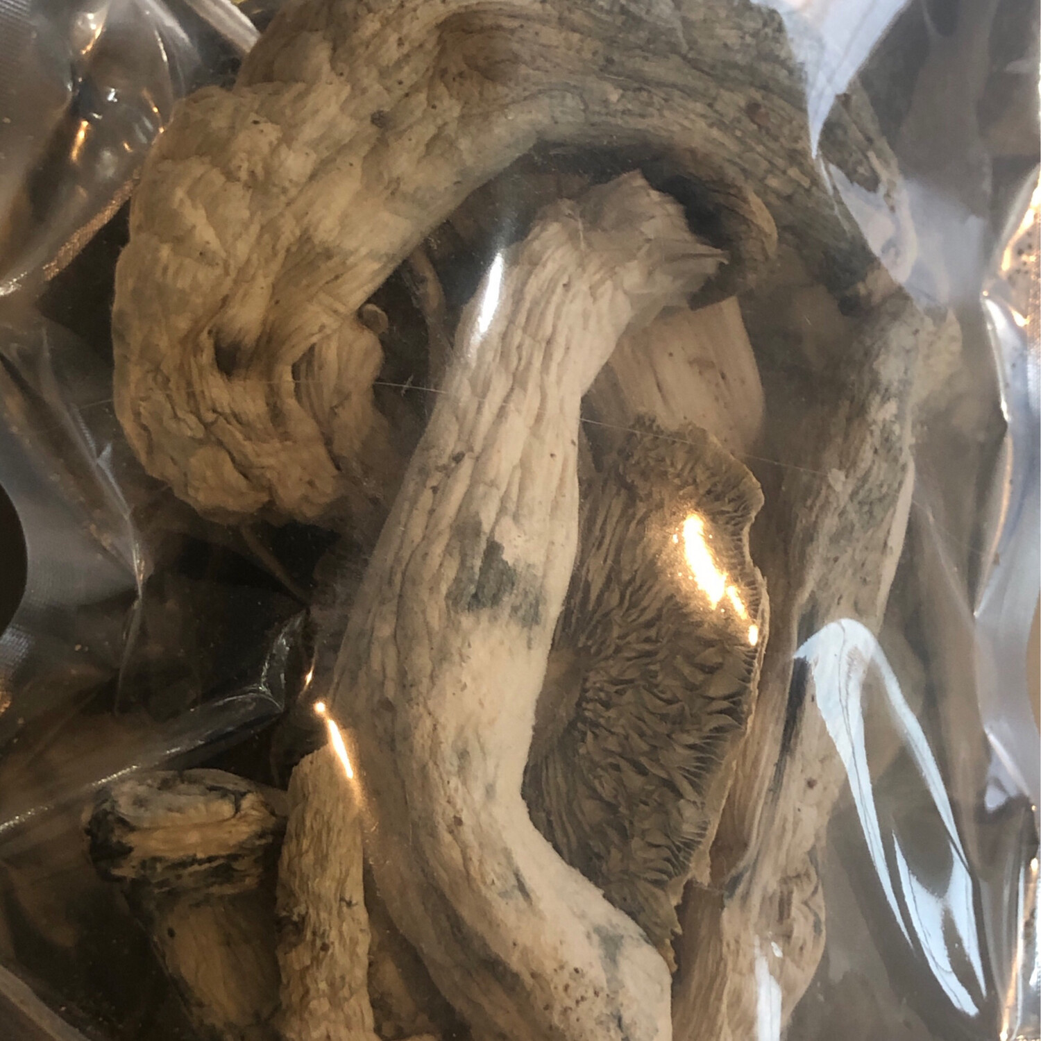 Psilocybin Magic Mushrooms Penis Envy 28g / 1oz