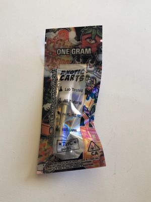 Exotic Carts Sundae Driver Indica