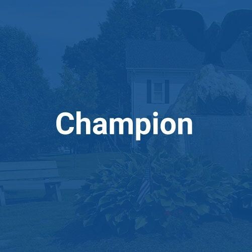 Chamber Platinum Sponsorship