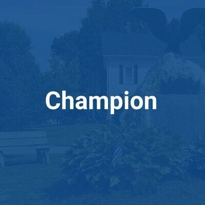 Chamber Champion Sponsorship
