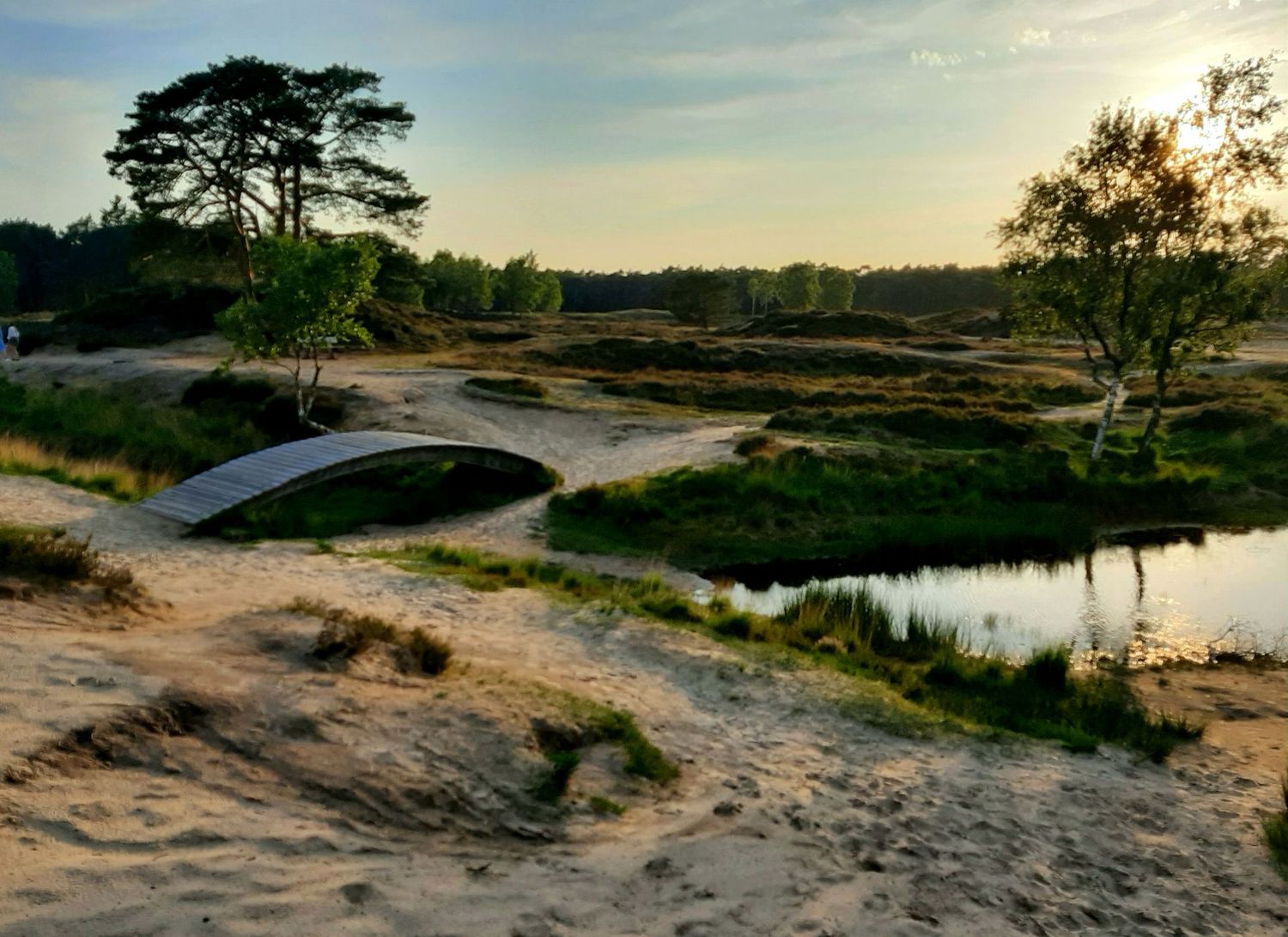 Just Run Trail van de maand
